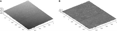 Adhesion Between Rigid Indenter and Soft Rubber Layer: Influence of Roughness